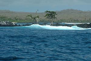 Las Palmas scene in the Galapagos Islands.